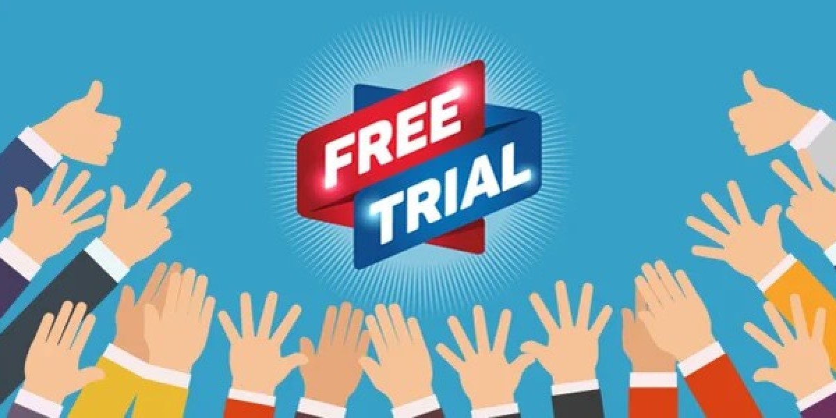 Seo Service Free Trial Expert Interview